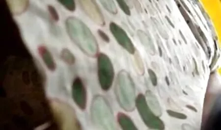 Ze maken het stereotype sex films met kleine meisjes verlegen